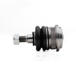 Rotula Delantero Inferior...