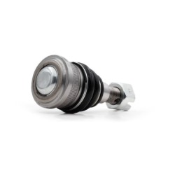 Rotula Delantero Inferior Para Honda