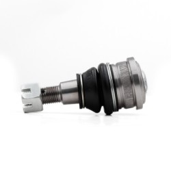 Rotula Delantero Inferior Para Honda