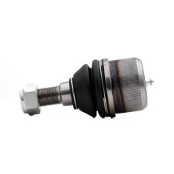 Rotula Delantero Superior...