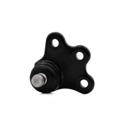 Rotula Delantero Inferior L...