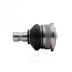 Rotula Delantero Inferior...