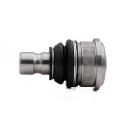 Rotula Delantero Inferior...