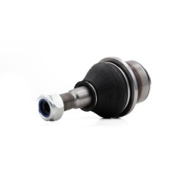 Rotula Delantero Inferior Para Ram