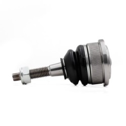 Rotula Delantero Superior...