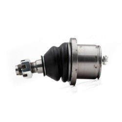 Rotula Delantero Inferior Para Ford