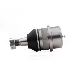 Rotula Delantero Superior...