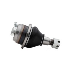 Rotula Delantero Inferior...