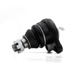 Rotula Delantero Inferior...