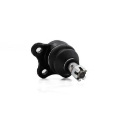 Rotula Delantero Superior Para Acura