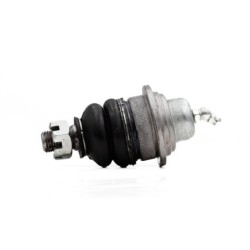 Rotula Delantero Superior Para Dodge