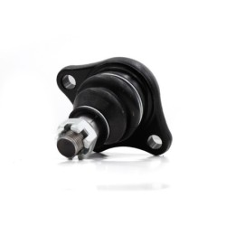 Rotula Delantero Inferior Para Dodge