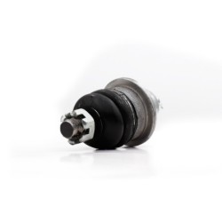 Rotula Delantero Superior Para Dodge