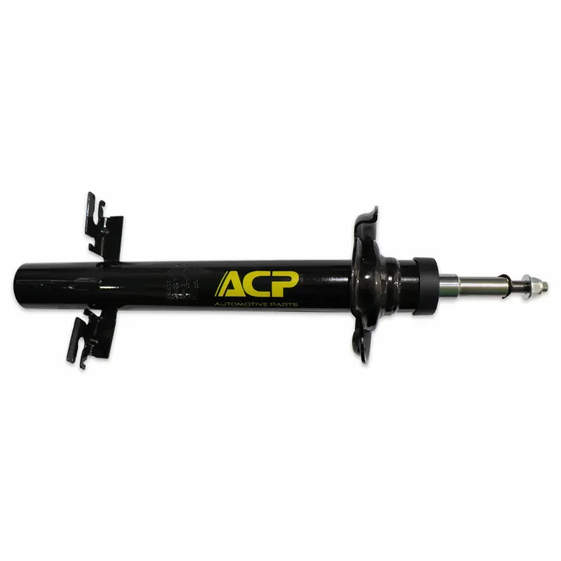 Amort D promaster 1500 1418