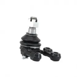 Rotula Inf PickUp 8397 Pathfinder8796