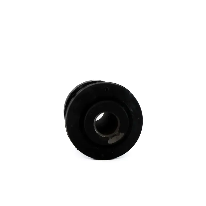 Bujes Inf Del Focus 0006