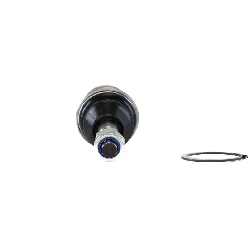 Rotula Inf Aspen Pick Up 0409 Durango
