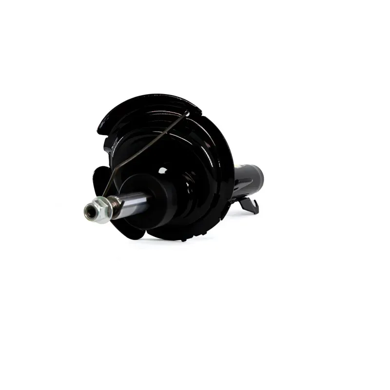 Amort Del Der C30 0811 Focus 0711