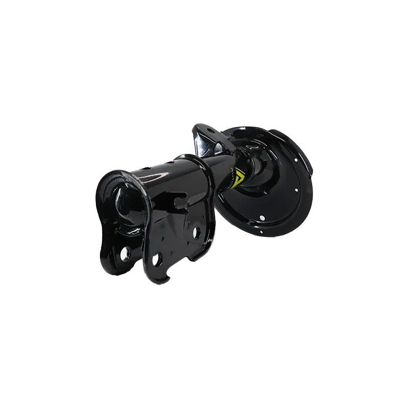 Amort Del Izq H100 0613