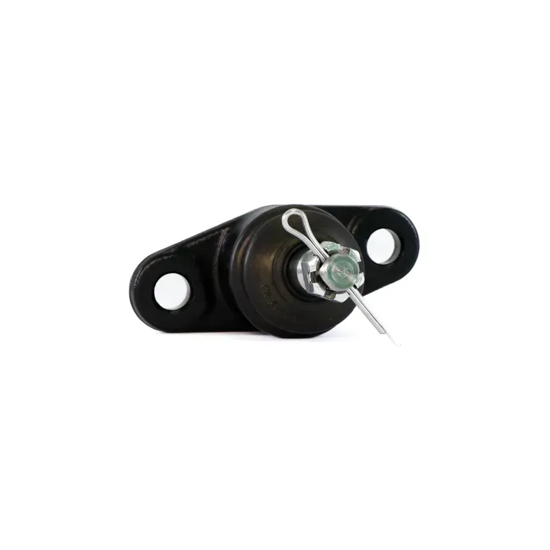 Rotula Inf Attitude 0611 Rio 0611