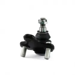 Rotula Inf Rav 4 0618