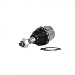 Rotula Inf Aspen Pick Up 0409 Durango