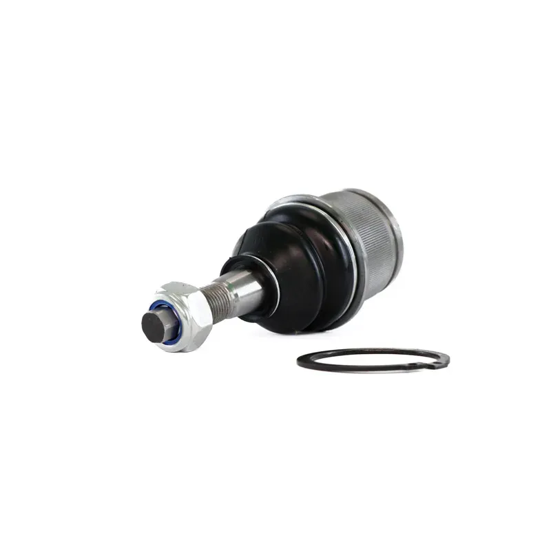 Rotula Inf Aspen Pick Up 0409 Durango