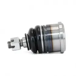 Rotula Inf Accord 9003 Odyssey 9598