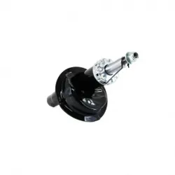 Amort DI Ford transit connect 1013