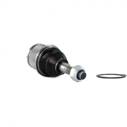 Rotula Inf Aspen Pick Up 0409 Durango