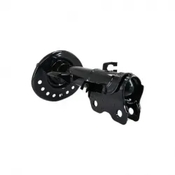 Amort DI Nissan juke 1219