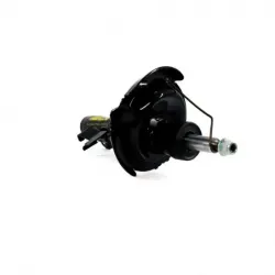 Amort Del Der C30 0811 Focus 0711