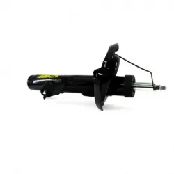 Amort Del Der C30 0811 Focus 0711