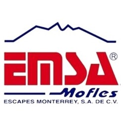 EMSA